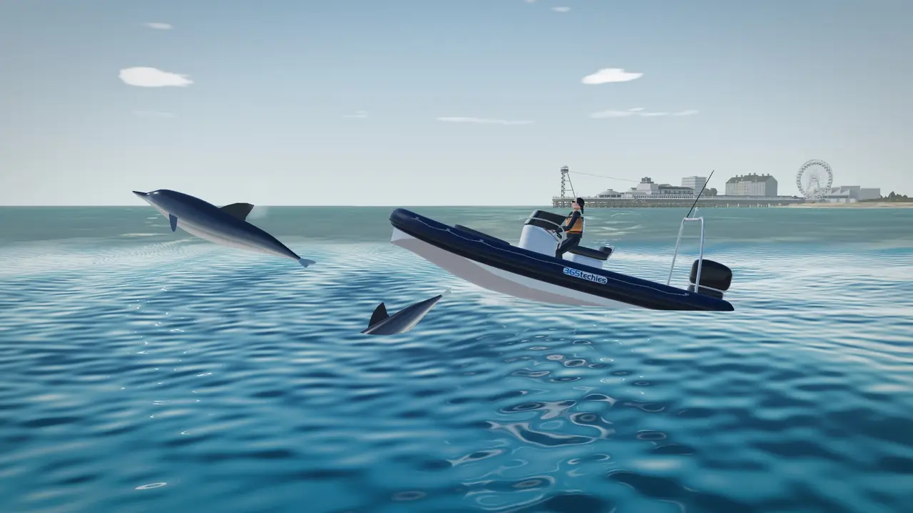 Seafront, Dolphin Watch: Find the pod, go gently, and they ride your bow.